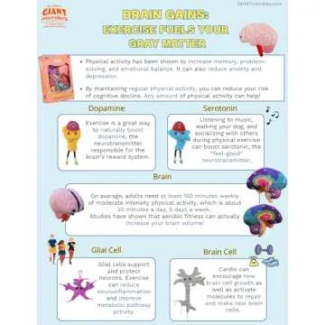 GIANTmicrobes Deluxe 9.5" Brain with Neuron Plush, Brain Toy, Brain Gifts for Neurologist, Brain Surgery Recovery Gifts, Neurology Gifts, Neuroscience Gifts, Brain Injury Gift, Biology Gift