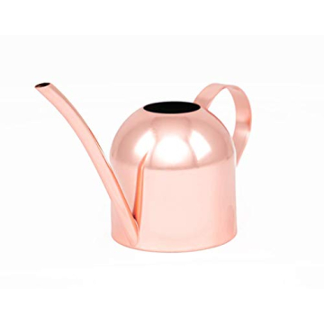 E.Palace Stainless Steel Copper Watering Can for Indoor Plants