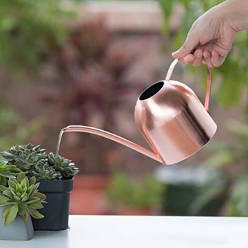 E.Palace Stainless Steel Copper Watering Can for Indoor Plants
