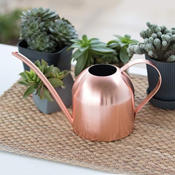 E.Palace Stainless Steel Copper Watering Can for Indoor Plants