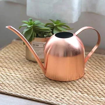 E.Palace Stainless Steel Copper Watering Can for Indoor Plants