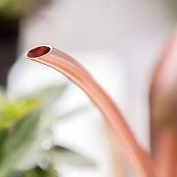 E.Palace Stainless Steel Copper Watering Can for Indoor Plants