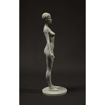 3dtotal Female Anatomy Figure: 10.5-inch Anatomical Reference for Artists (Grey)
