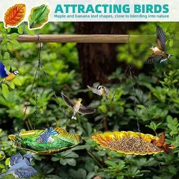 Outdoor Bird Feeder and Bath Set for Garden Joy
