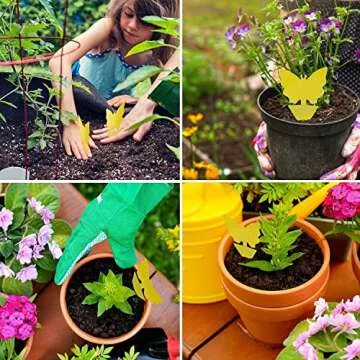 Fruit Fly Sticky Traps, 96 Pack Eco-Friendly Solution