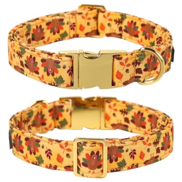 Lionet Paws Stylish Dog Collar with Bowtie for Thanksgiving