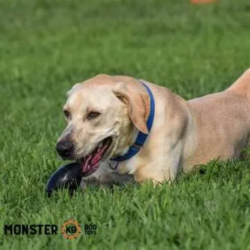 Monster K9 Indestructible Dog Toy for Aggressive Chewers