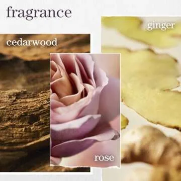 Pureology Color Fanatic Leave-in Conditioner Hair Treatment Detangler Spray | Protects Hair Color From Fading | Heat Protectant | Vegan | 13.5 Fl Oz