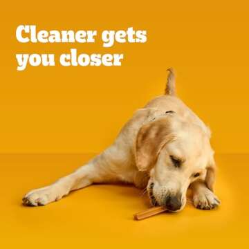 Pedigree Dentastix Large Breed Dog Treats, Original Flavor, 1.66 lb. Bag (32 Treats)