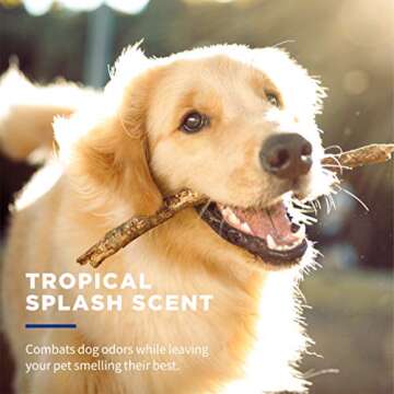 Wet Ones for Pets Deodorizing Multipurpose Pet Wipes, Tropical Splash Scent - Pet Grooming Wipes for In-Between Baths, Pet Cleaning Supplies, Puppy Wipes for Dogs, 50 Count