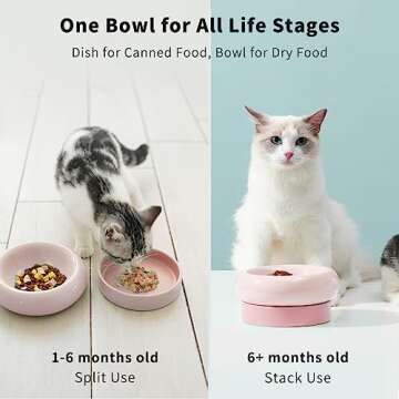 MS!MAKE SURE Cat Bowls, Ceramic Cat Food Bowl, Whisker Fatigue Relief Cat Bowl, Anti-Vomiting, Prote...