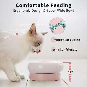MS! Make Sure 2-in-1 Cat Bowls for Comfort & Style