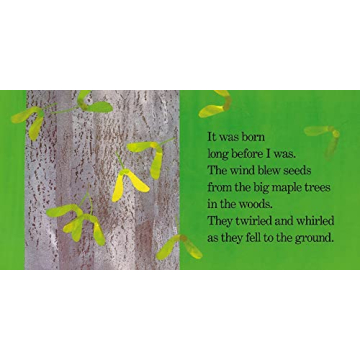 Delightful Red Leaf Yellow Leaf Book for Kids Ages 3-10