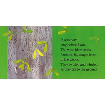 Delightful Red Leaf Yellow Leaf Book for Kids Ages 3-10