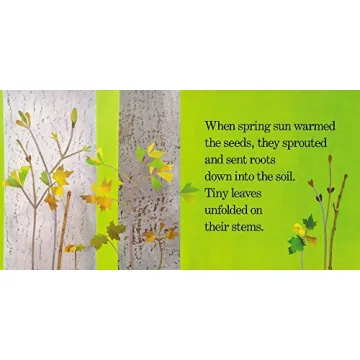 Delightful Red Leaf Yellow Leaf Book for Kids Ages 3-10