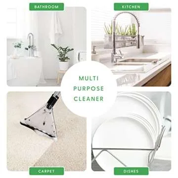 Milliard Borax Powder - Pure Multipurpose Cleaning Agent, Laundry Detergent Booster (2 lb)