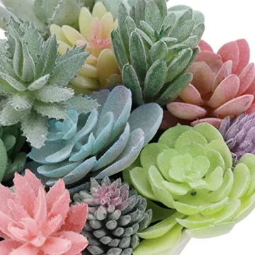 Realistic CEWOR Faux Succulents Set for Home Decor