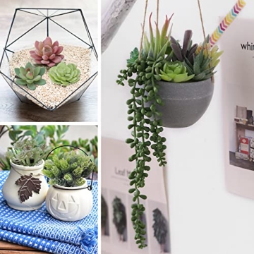 Realistic CEWOR Faux Succulents Set for Home Decor