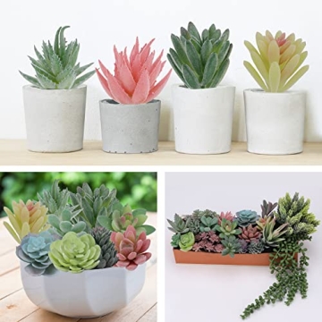 Realistic CEWOR Faux Succulents Set for Home Decor