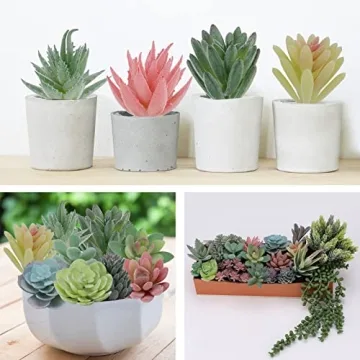 Realistic CEWOR Faux Succulents Set for Home Decor