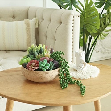 Realistic CEWOR Faux Succulents Set for Home Decor