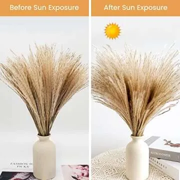 60 Pcs Natural Dried Pampas Grass Reed Grass Plume Dried Flower Phragmites Communis for Wedding Flower Arrangements Home Decor