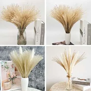 60 Pcs Natural Dried Pampas Grass Reed Grass Plume Dried Flower Phragmites Communis for Wedding Flower Arrangements Home Decor