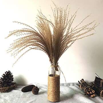 60 Pcs Natural Dried Pampas Grass Reed Grass Plume Dried Flower Phragmites Communis for Wedding Flower Arrangements Home Decor