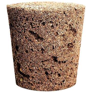 Click and Grow Smart Garden Parsley Plant Pods, 3-Pack