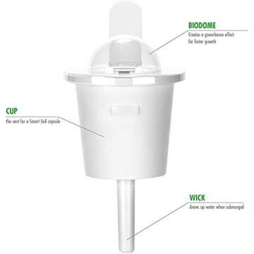 Click and Grow Smart Garden Parsley Plant Pods, 3-Pack