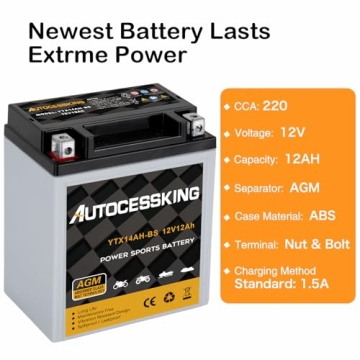 Autocessking YTX14AH-BS Maintenance-Free 12V Battery
