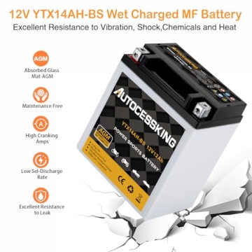 Autocessking YTX14AH-BS Maintenance-Free 12V Battery