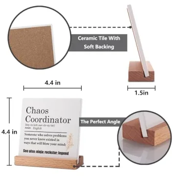 Chaos Coordinator Desk Decor - Ideal Thank You Gift for Anyone