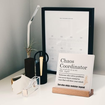 Chaos Coordinator Desk Decor - Ideal Thank You Gift for Anyone