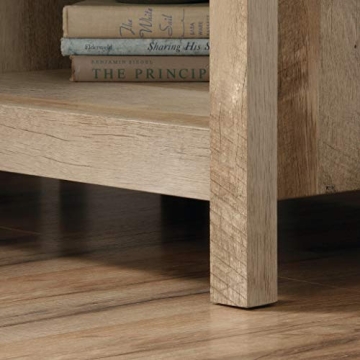 Stylish Sauder Cannery Bridge Night Stand in Lintel Oak