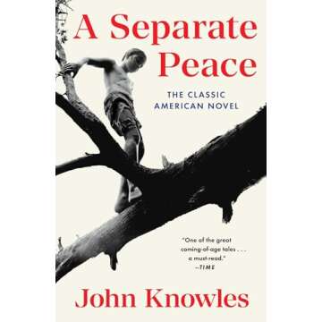 A Separate Peace - An Enriching Novel of Friendship and Growth