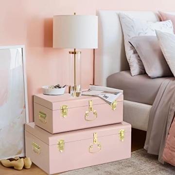 Vixdonos Decorative Metal Box Storage Trunks Set of 2 College Dorm Chest with Handle (Pink)