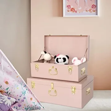 Vixdonos Decorative Metal Box Storage Trunks Set of 2 College Dorm Chest with Handle (Pink)