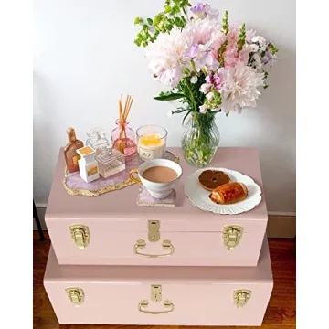 Vixdonos Decorative Metal Box Storage Trunks Set of 2 College Dorm Chest with Handle (Pink)
