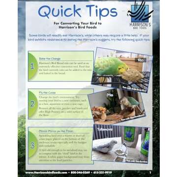 Healthy Organic Bird Food for Small to Medium Birds