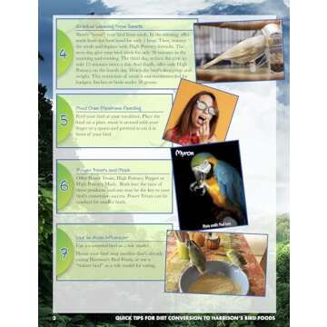 Healthy Organic Bird Food for Small to Medium Birds