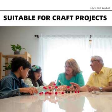 600 Count Bamboo Toothpicks for Teeth Cleaning, Appetizer, Olive, Barbecue, Fruit, Double-Points Wooden Toothpick.