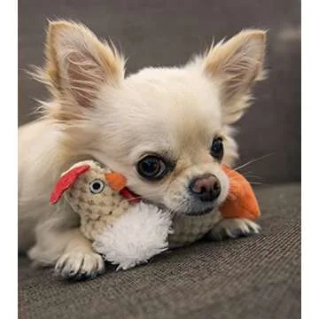 goDog Fat Rooster Plush Dog Toy - Durable & Squeaky