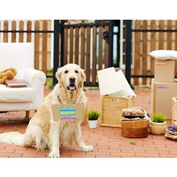 250 Home Moving Labels for 1 Bedroom House. 50 Labels Per Room, 5 Pre-Printed Color-Coded Labels, Includes Fragile Moving Stickers for Moving Boxes, Moving Supplies, Wardrobe Boxes, Apartment Sticker