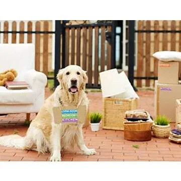 250 Home Moving Labels for 1 Bedroom House. 50 Labels Per Room, 5 Pre-Printed Color-Coded Labels, Includes Fragile Moving Stickers for Moving Boxes, Moving Supplies, Wardrobe Boxes, Apartment Sticker