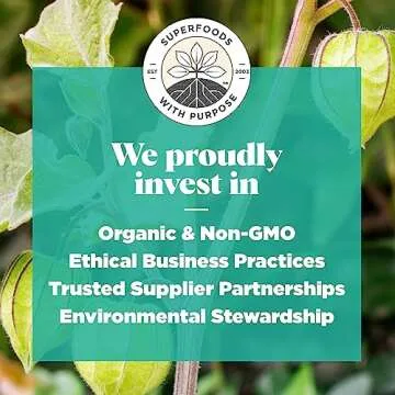 Navitas Organics Goldenberries, 8 oz. Bag, 8 Servings — Organic, Non-GMO, Sun-Dried, Sulfite-Free, 8 Ounce