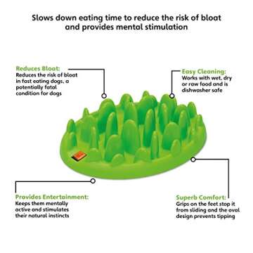 Company of Animals GREEN Slow Interactive Feeder for Dogs, Size Large, Best Fun Slow Feeder Dog Bowl...