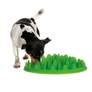 Company of Animals GREEN Slow Interactive Feeder for Dogs, Size Large, Best Fun Slow Feeder Dog Bowl, Anti-Gulp, Gobble Stopper, Mental Stimulation Dog Puzzle, Suitable for Small, Medium & Large Dogs