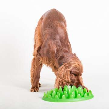 Company of Animals GREEN Slow Interactive Feeder for Dogs, Size Large, Best Fun Slow Feeder Dog Bowl, Anti-Gulp, Gobble Stopper, Mental Stimulation Dog Puzzle, Suitable for Small, Medium & Large Dogs