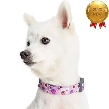Blueberry Pet Essentials Spring Scent Inspired Garden Floral Adjustable Dog Collar in Light Purple, Medium, Neck 14.5"-20"